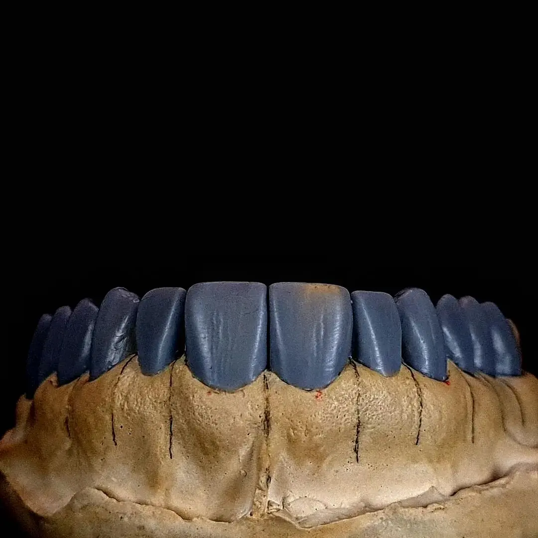 323308463_686012636350137_5461801607055538663_n